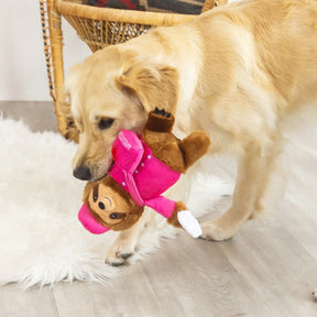 Dog Toy Love on Delivery