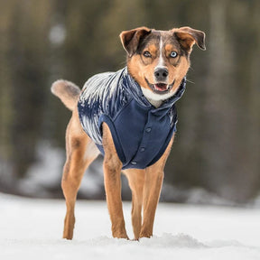 Dog Puffer Jacket Navy