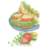 Sprouts Sandwich Mix Organic