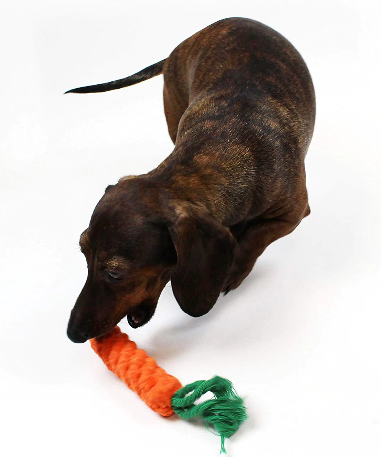 Midlee - Rope Carrot Easter Dog Toys