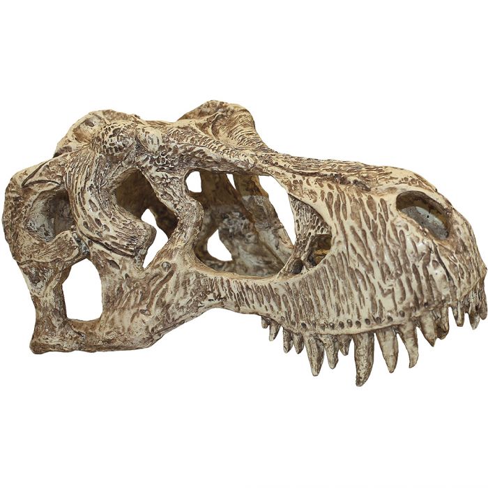 T-Rex Skull Reptile Hideout