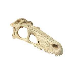 Raptor Skull Reptile Hideout