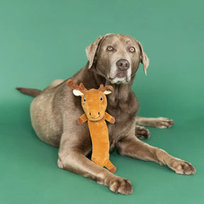 Don't Moose with Me Flat Plush Dog Toy