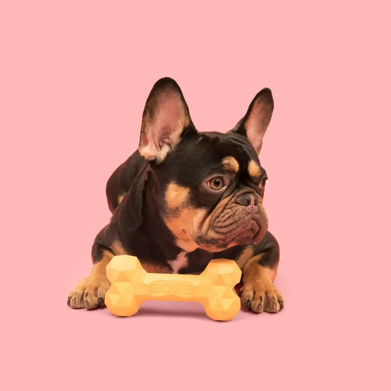 Modern Pet - Busy Body Bone Dog Toy