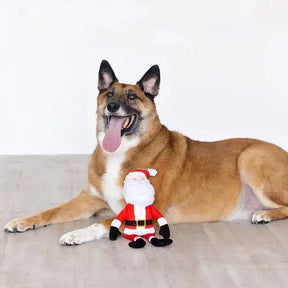 Santa's Back In Town Dog Toy