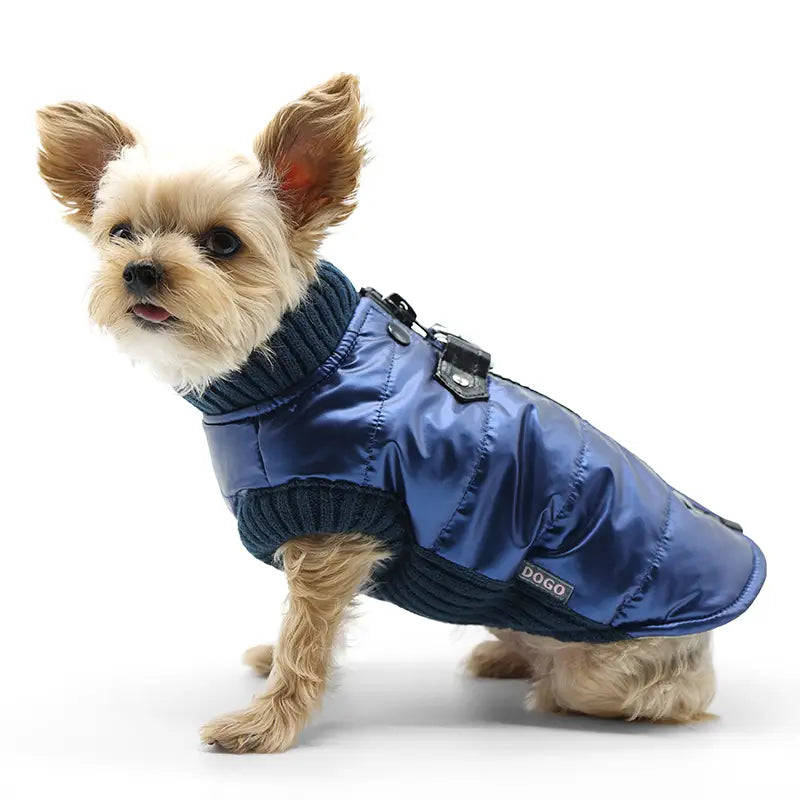 Dogo Pet - Coat Runner Metallic Blue