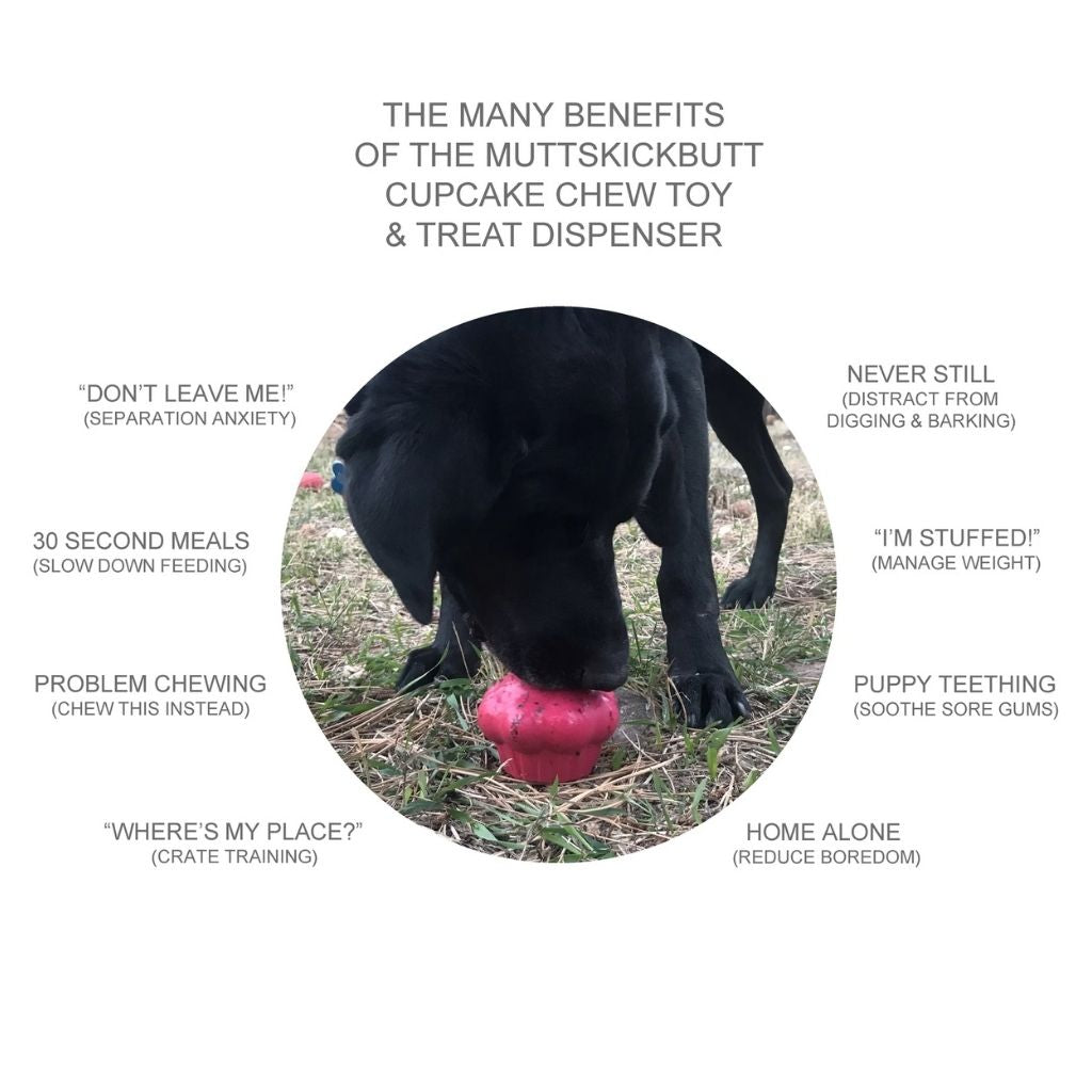 SodaPup - Cupcake With Treat Insert Dog Toy-Southern Agriculture