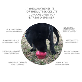 SodaPup - Cupcake With Treat Insert Dog Toy-Southern Agriculture