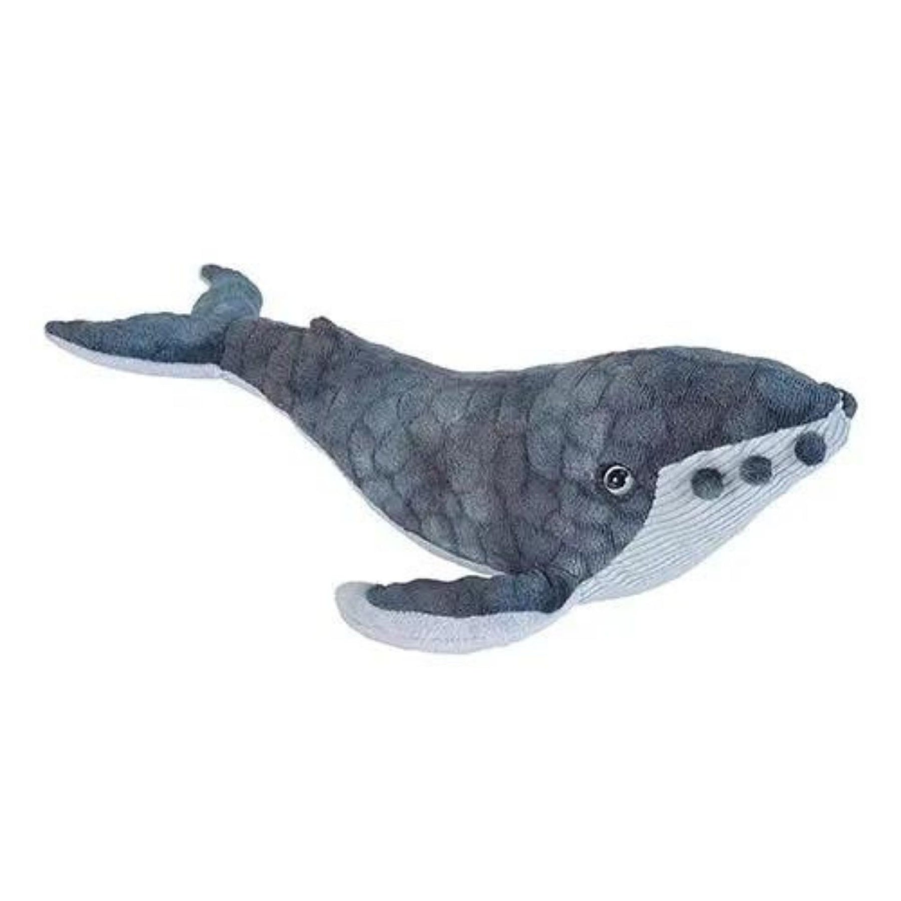 Plush Humpback Whale-Southern Agriculture