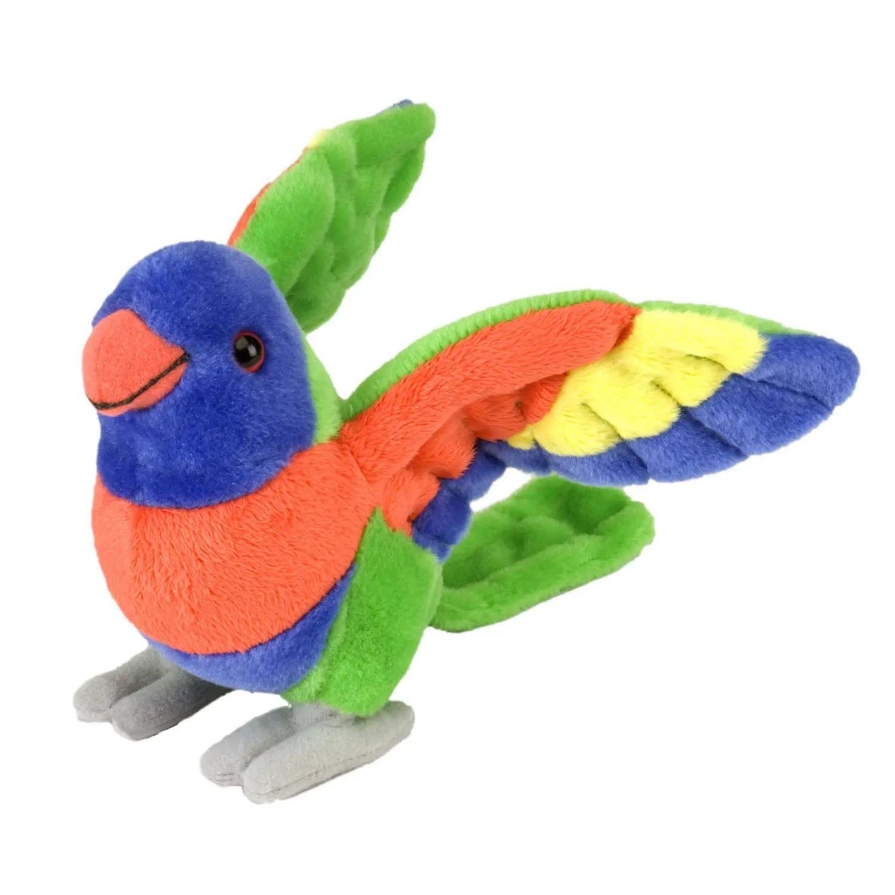 Plush Lorikeet-Southern Agriculture