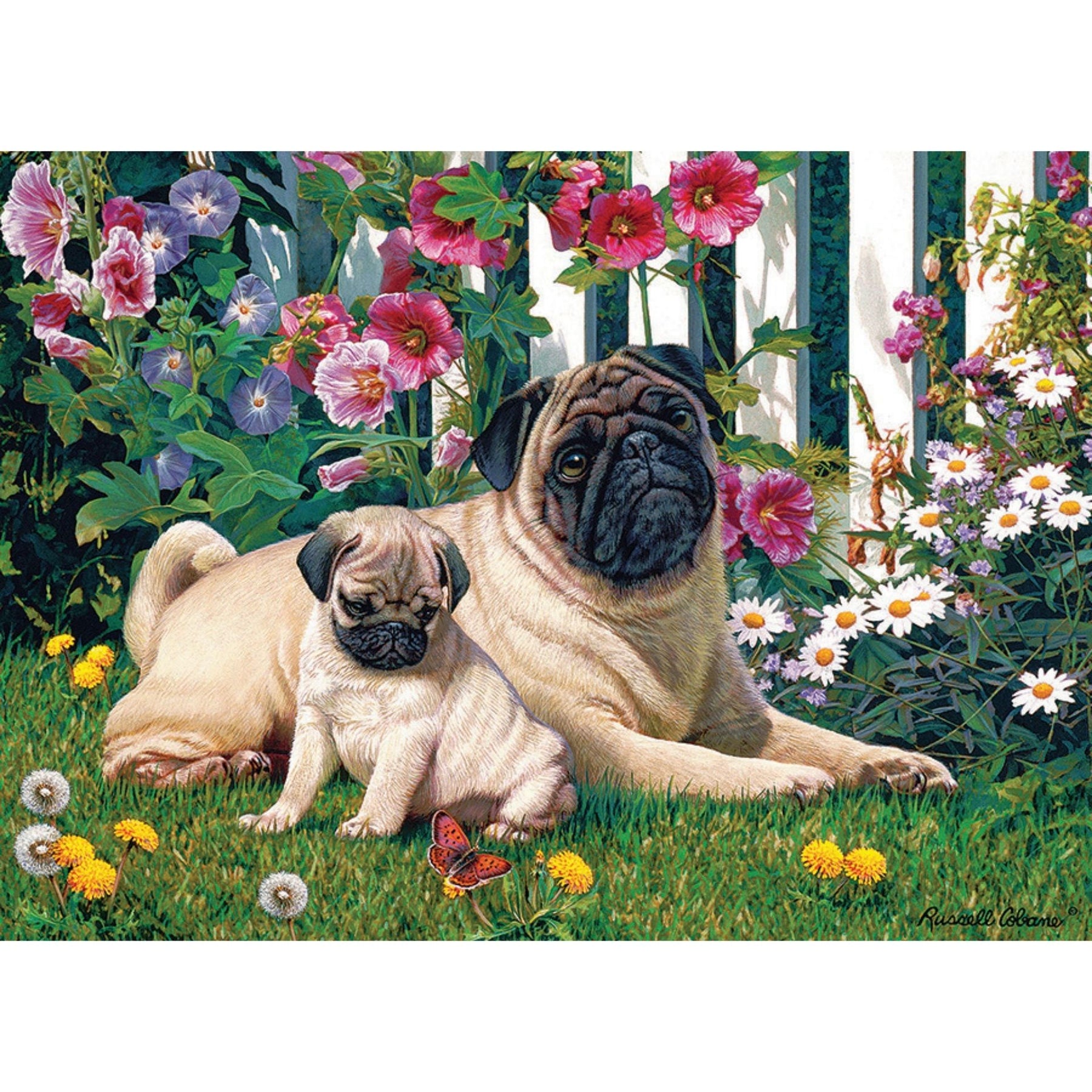 Puzzle: Pug Family-Southern Agriculture