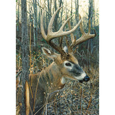Puzzle: White-tailed Deer-Southern Agriculture