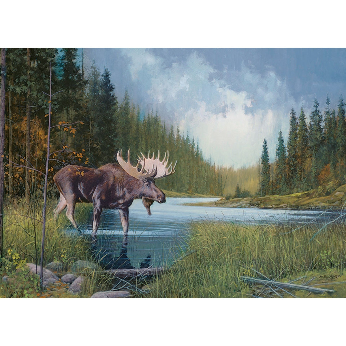 Puzzle: Moose Lake-Southern Agriculture