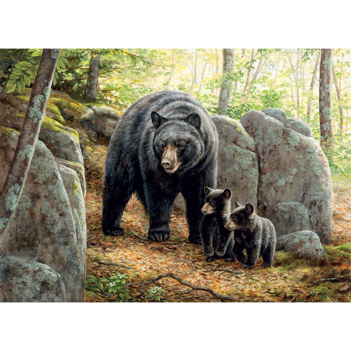 Puzzle: Mama Bear-Southern Agriculture