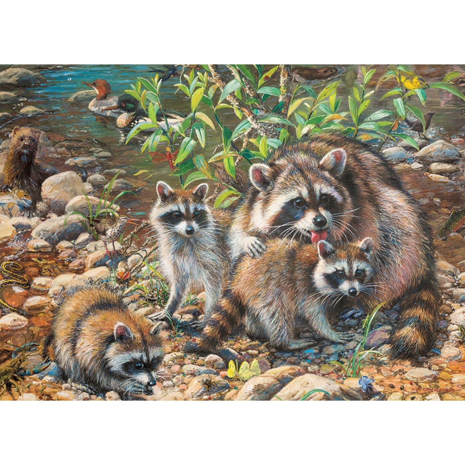 Puzzle: Raccoon Family-Southern Agriculture