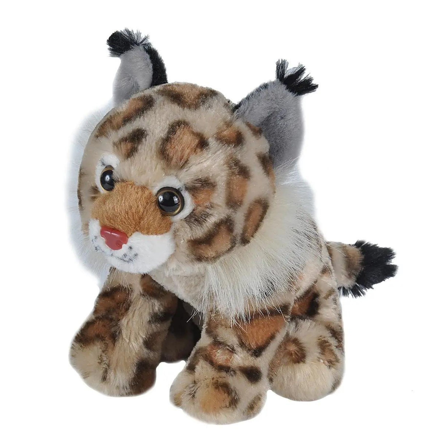 Plush Bobcat-Southern Agriculture