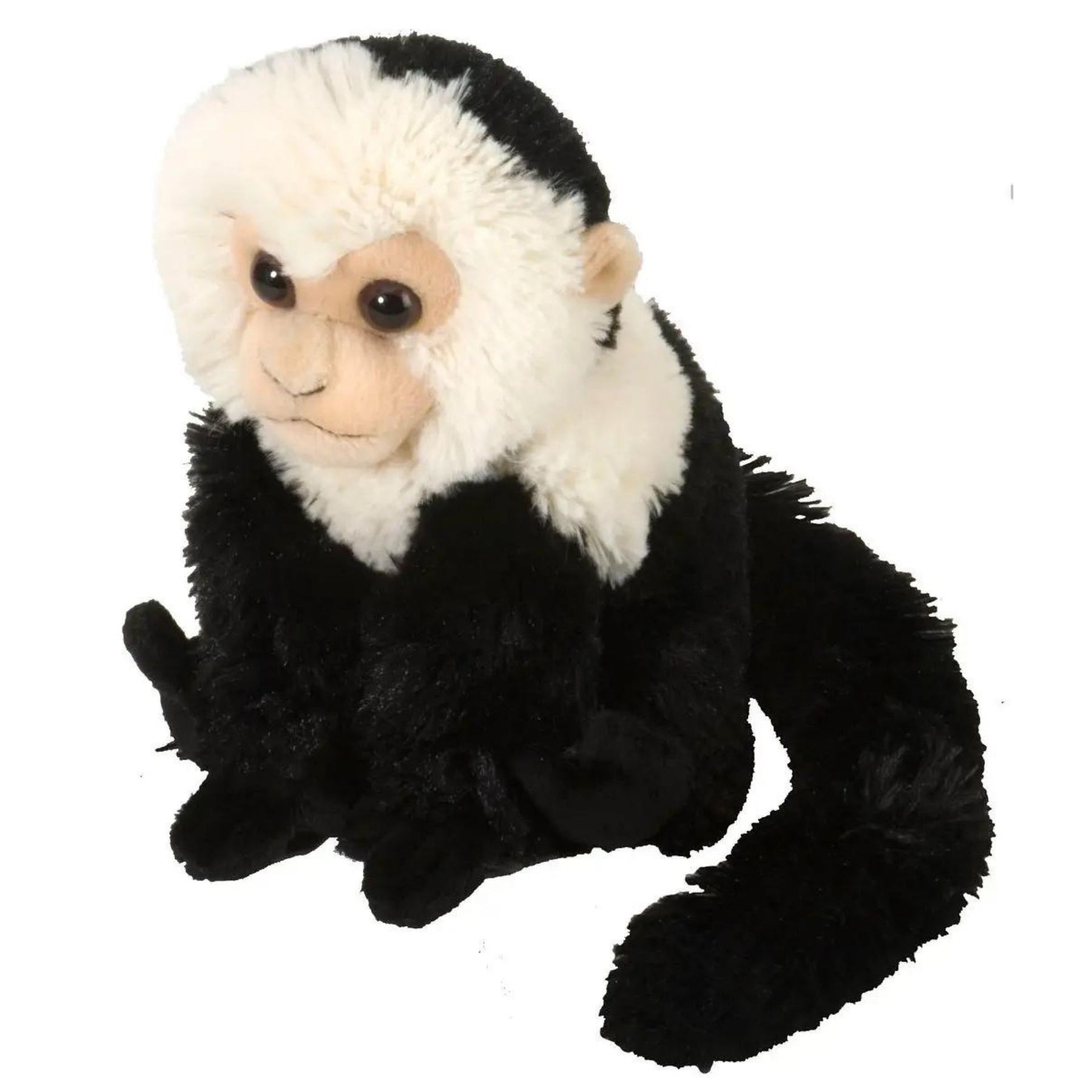 Plush Capuchin Monkey-Southern Agriculture