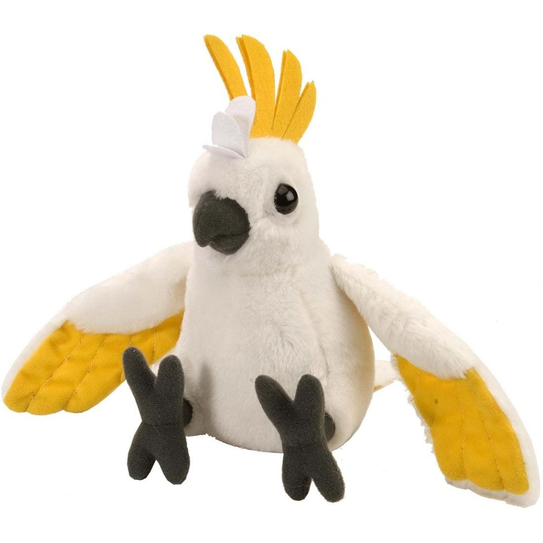 Plush Cockatoo Sulphar-Southern Agriculture