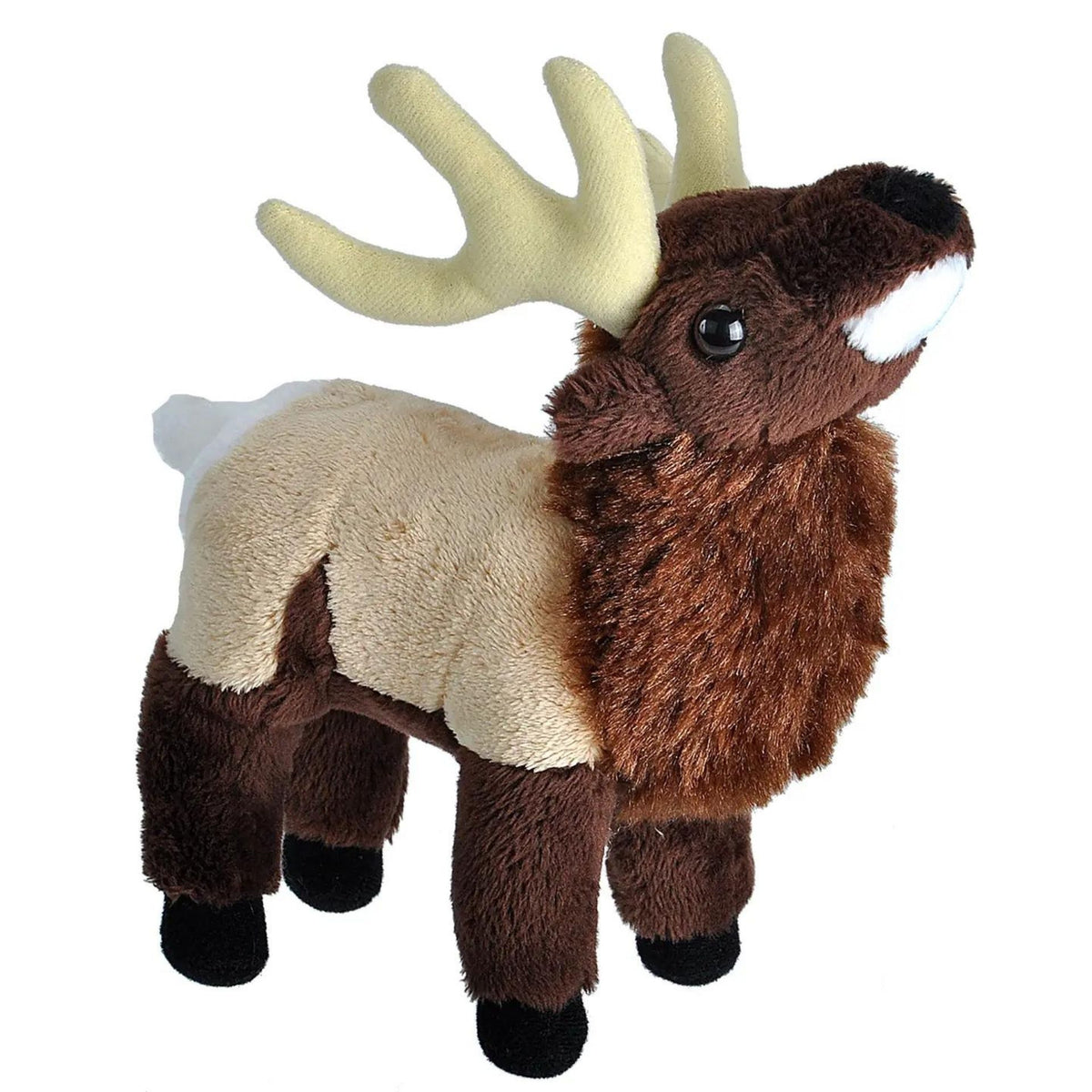 Plush Elk-Southern Agriculture