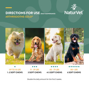 Arthrisoothe-Gold Level 3 Advanced Care by NaturVet