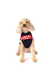 Chilly Dog - Dog Sweater Bow Tie Red, White & Blue