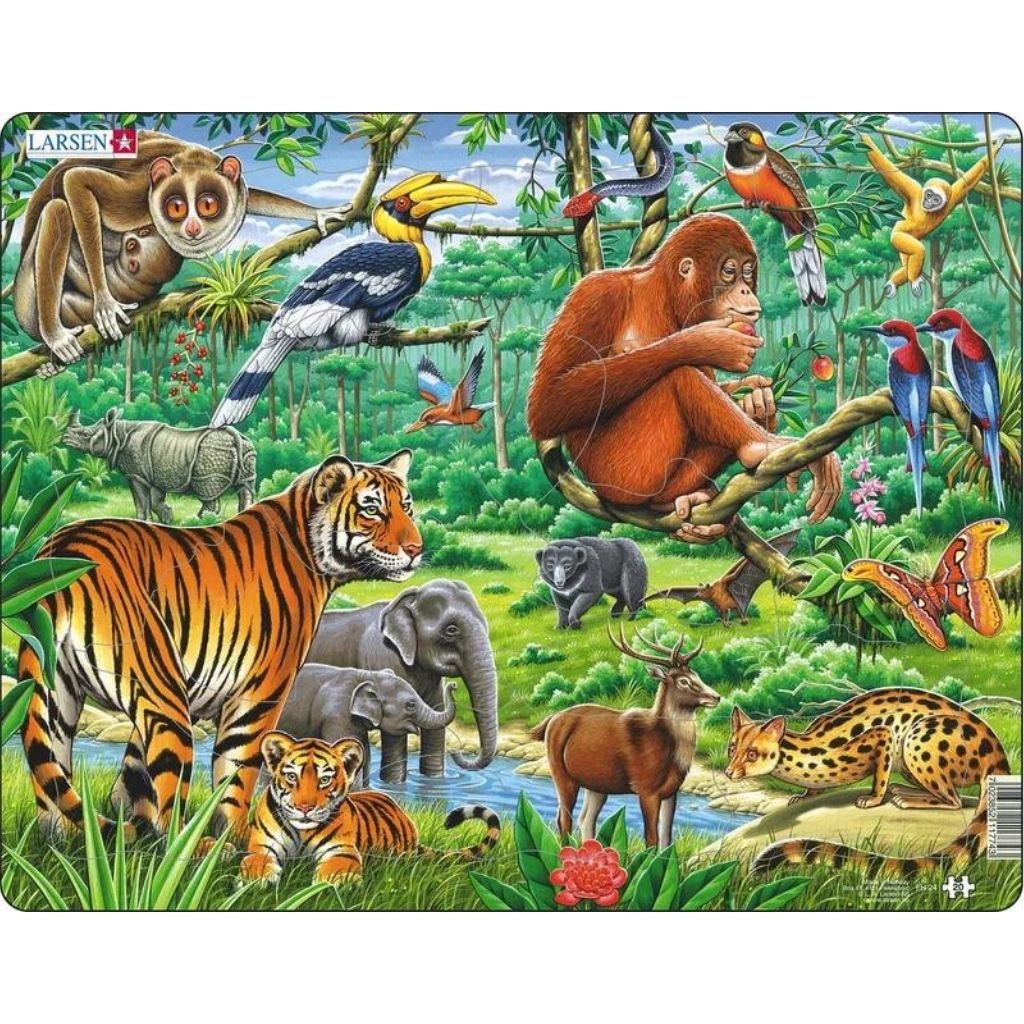 Jungle Puzzle-Southern Agriculture