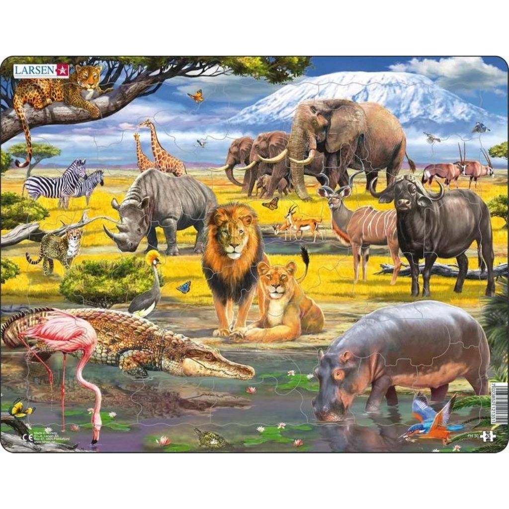 Savannah Puzzle-Southern Agriculture