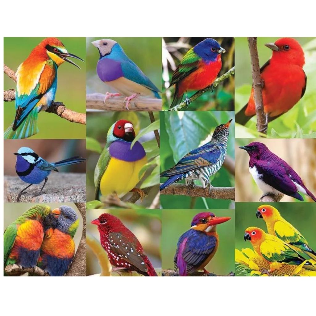 Birds Of Paradise Puzzle-Southern Agriculture