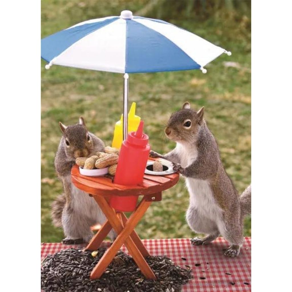 Puzzle Squirrel Feeder-Southern Agriculture