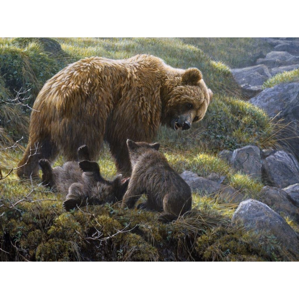 Puzzle: Family Grizzly and Cubs-Southern Agriculture
