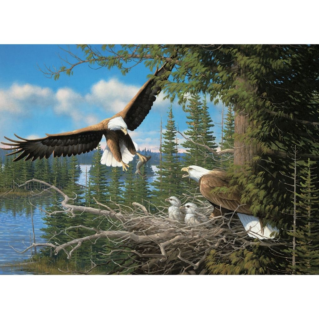 Puzzle: Nesting Eagles-Southern Agriculture