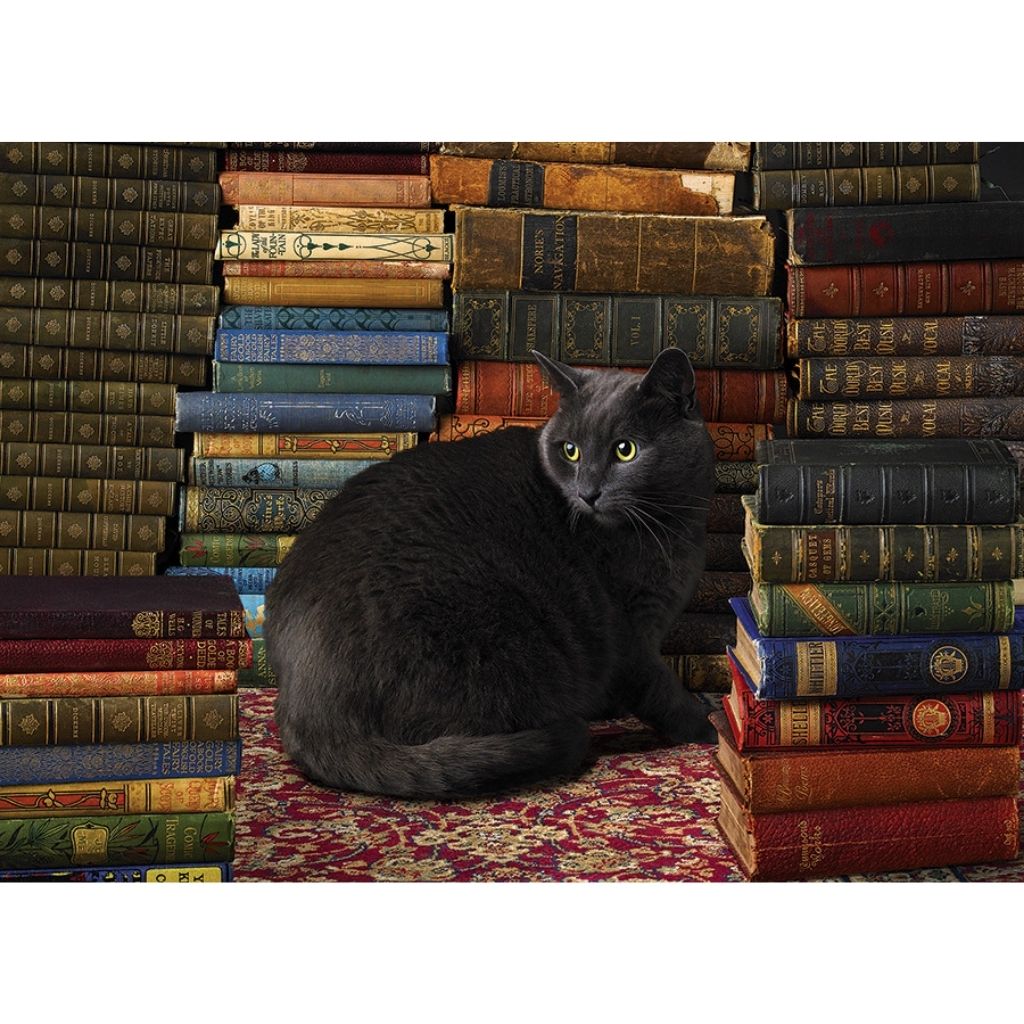 Puzzle: Library Cat-Southern Agriculture