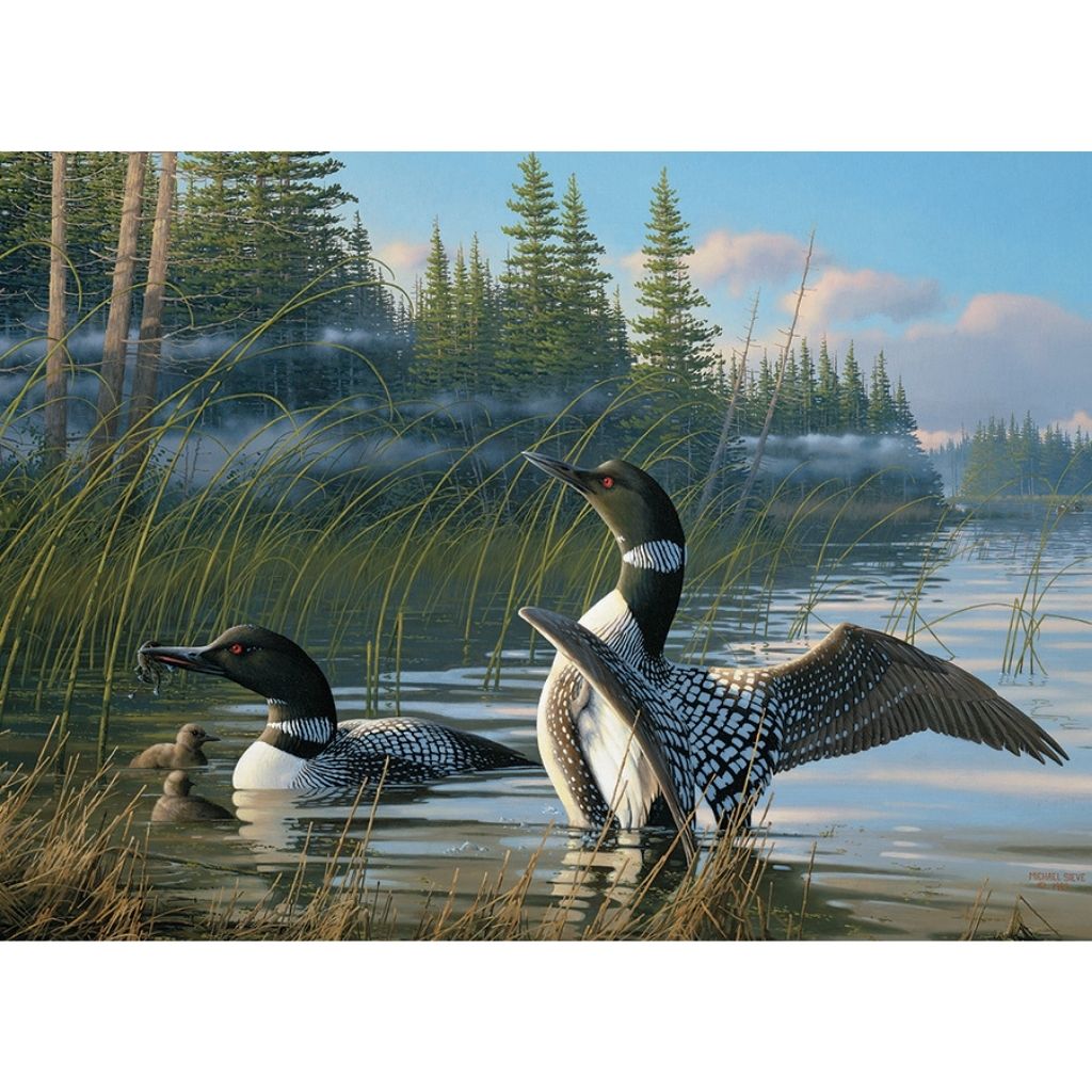 Puzzle: Common Loons-Southern Agriculture