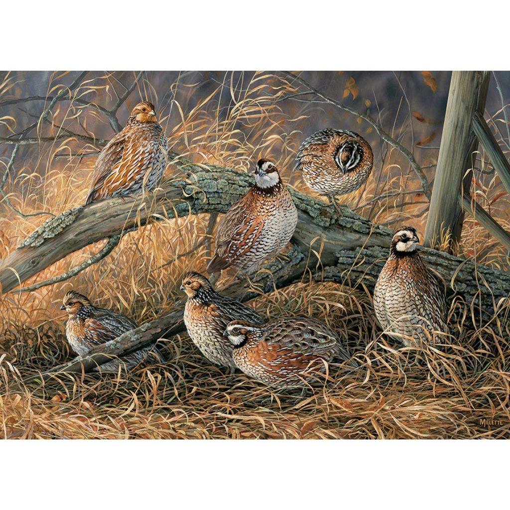 Puzzle: Quail-Southern Agriculture