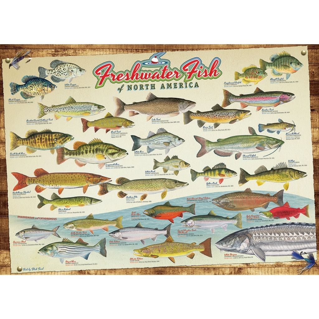 Puzzle: Freshwater Fish-Southern Agriculture