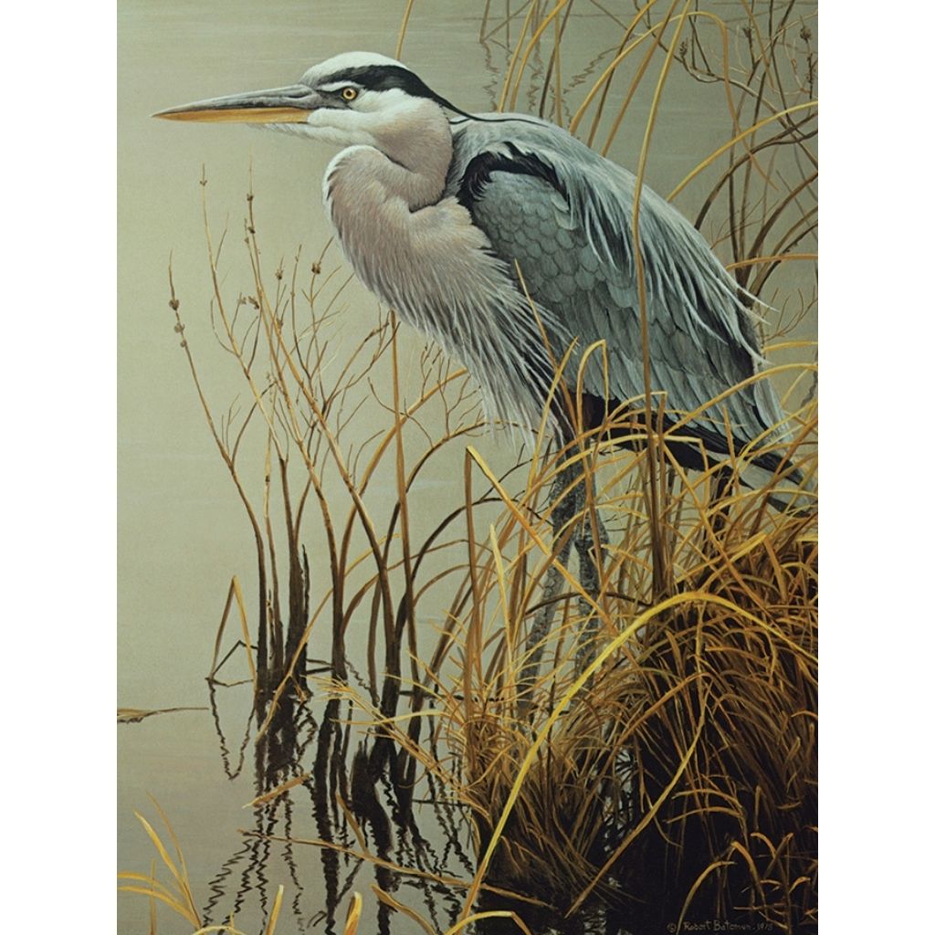 Puzzle: Great Blue Heron-Southern Agriculture