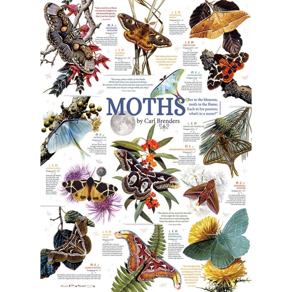 Puzzle: Moth Collection-Southern Agriculture