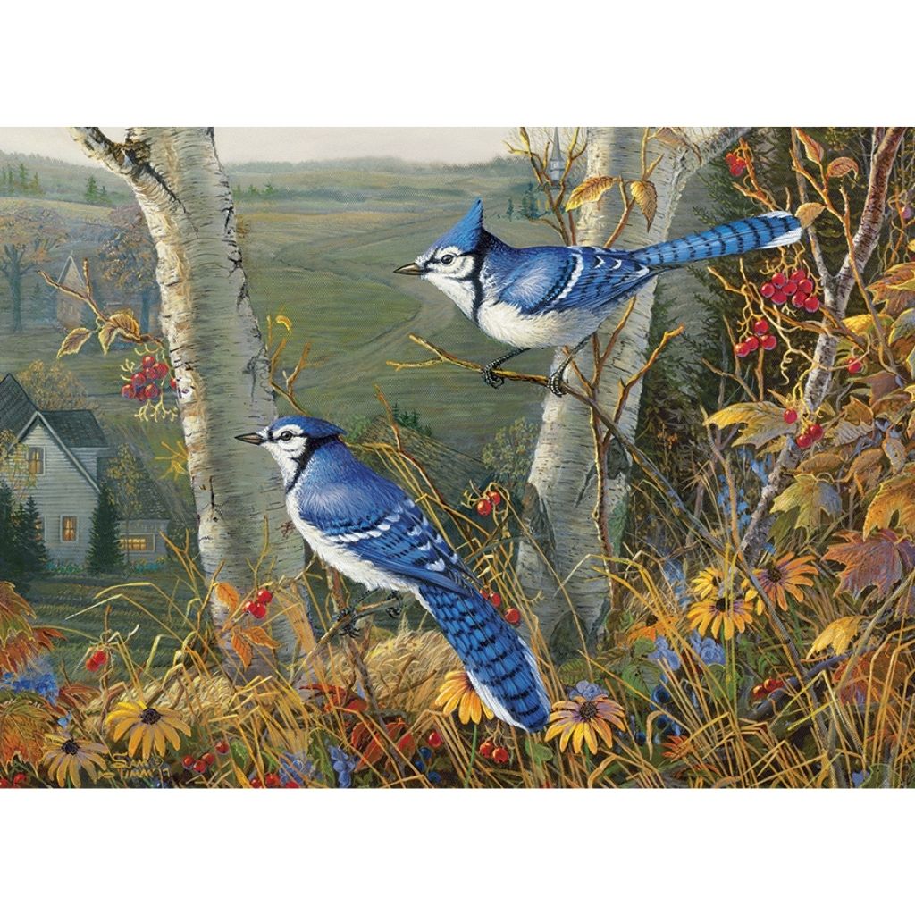 Puzzle: Blue Jays-Southern Agriculture