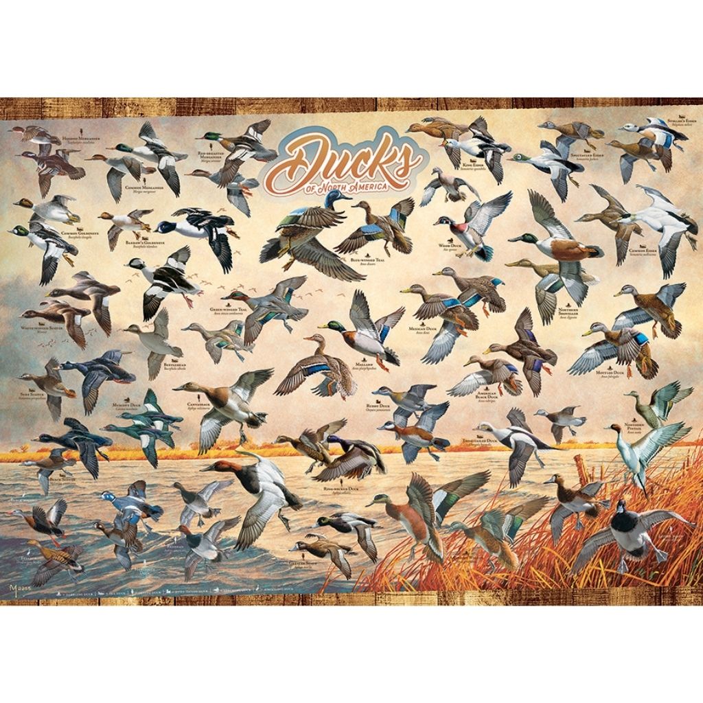 Puzzle: Ducks of North America-Southern Agriculture