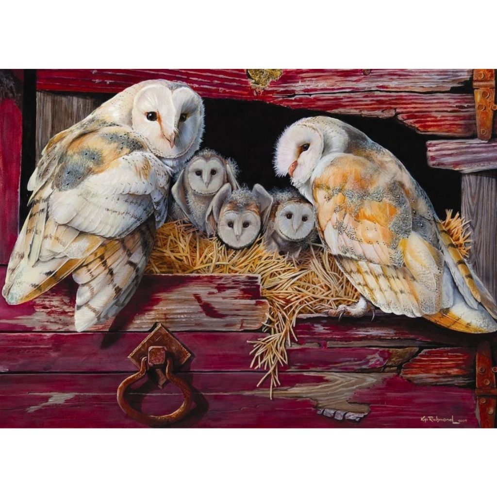 Puzzle: Barn Owls-Southern Agriculture