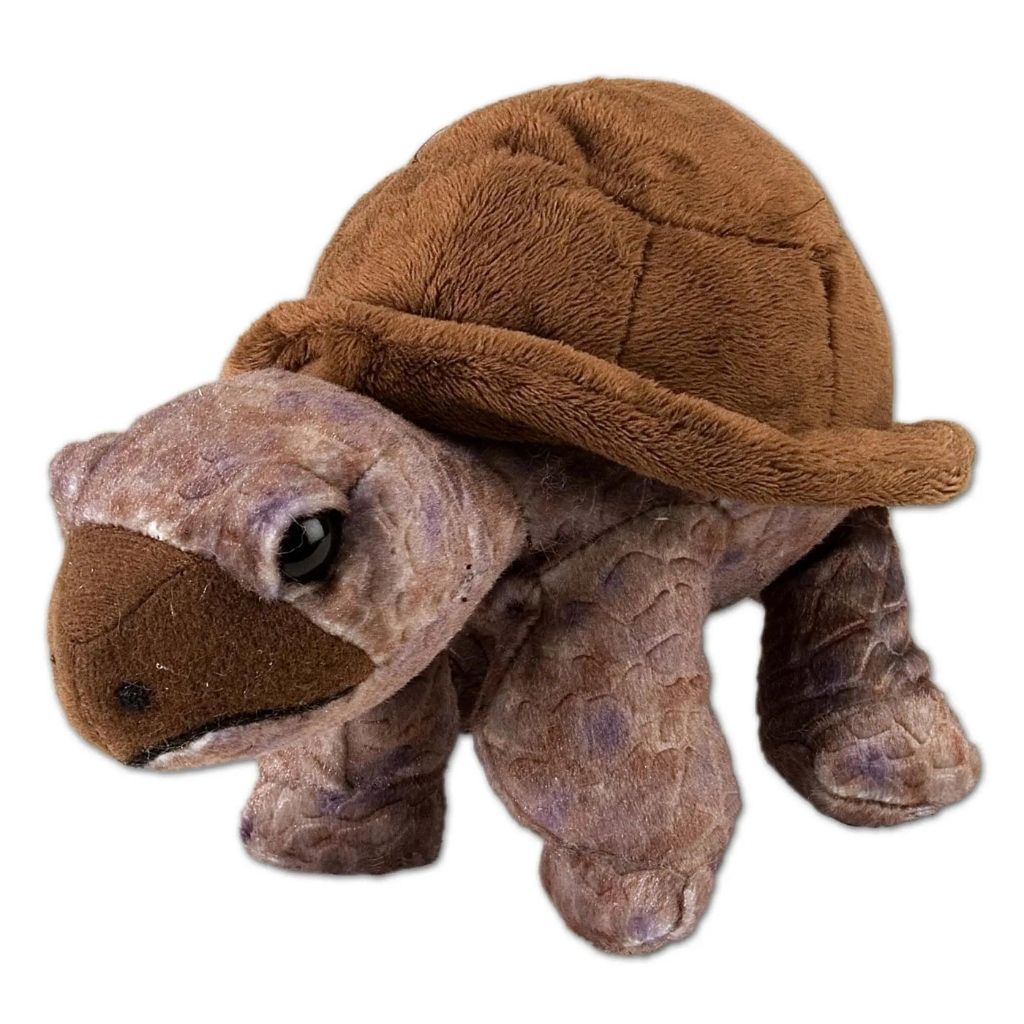 Plush Tortoise-Southern Agriculture