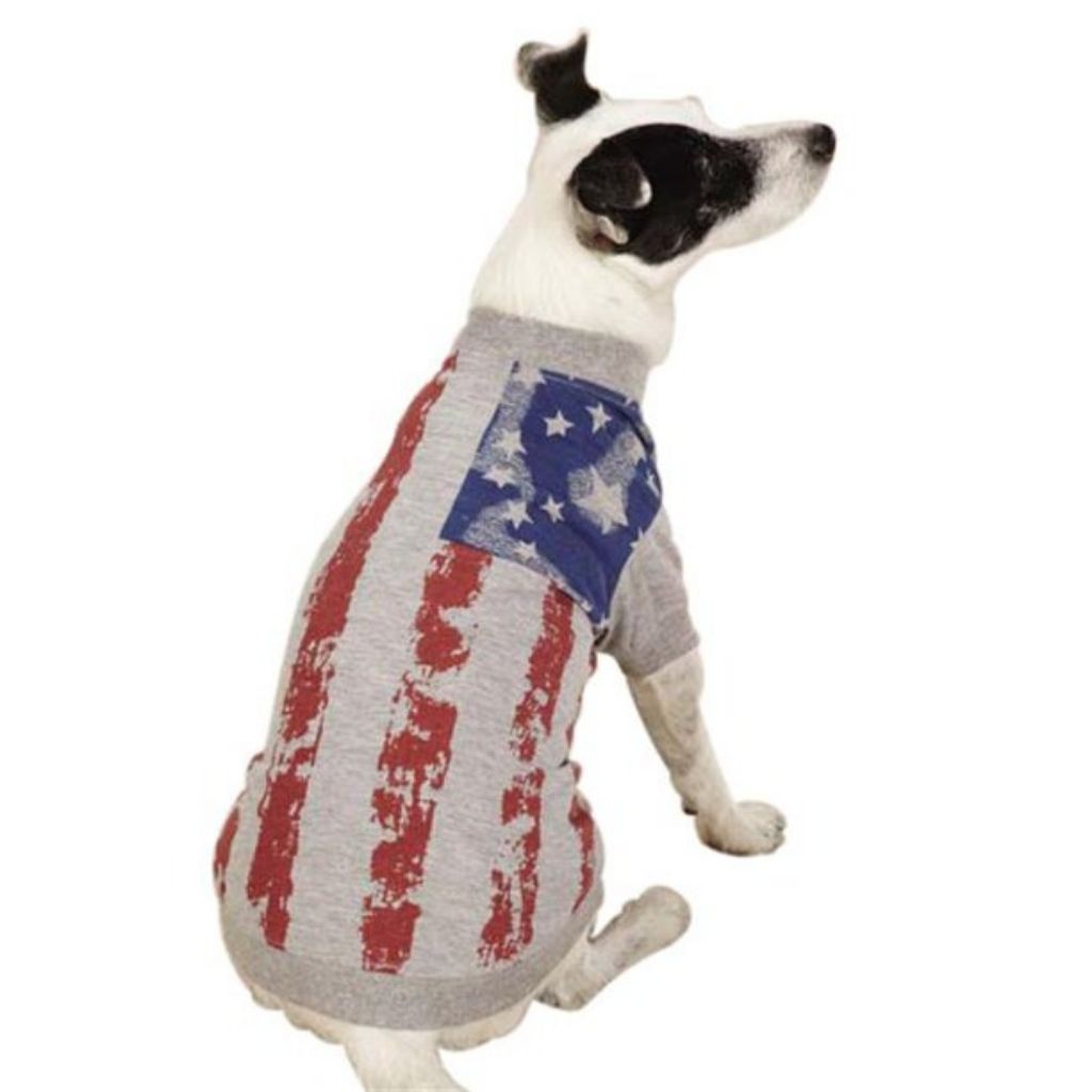 Tee America's Pup Distressed Flag Print - Grey