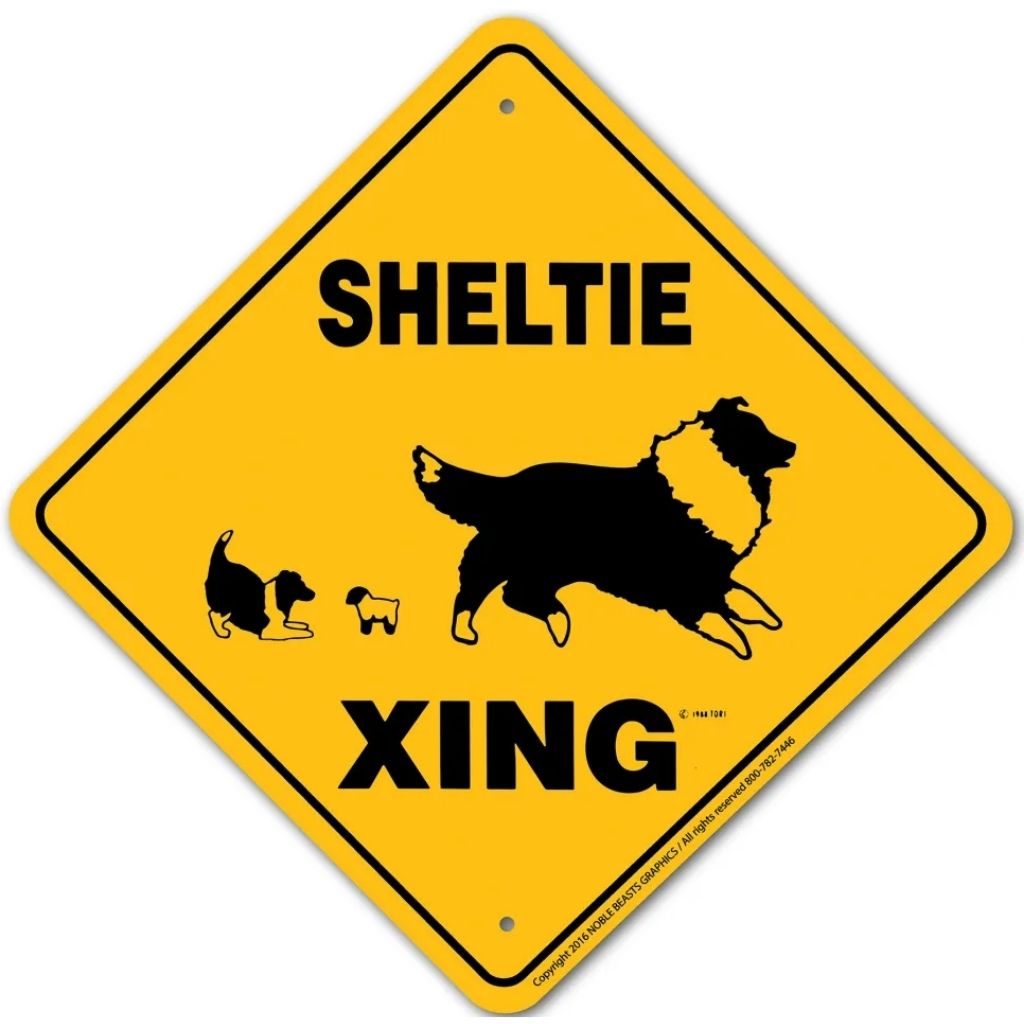Sign X-ing Sheltie