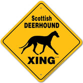 Sign X-ing Scottish Deerhound
