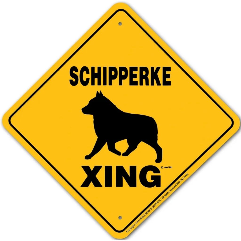 Sign X-ing Schipperke