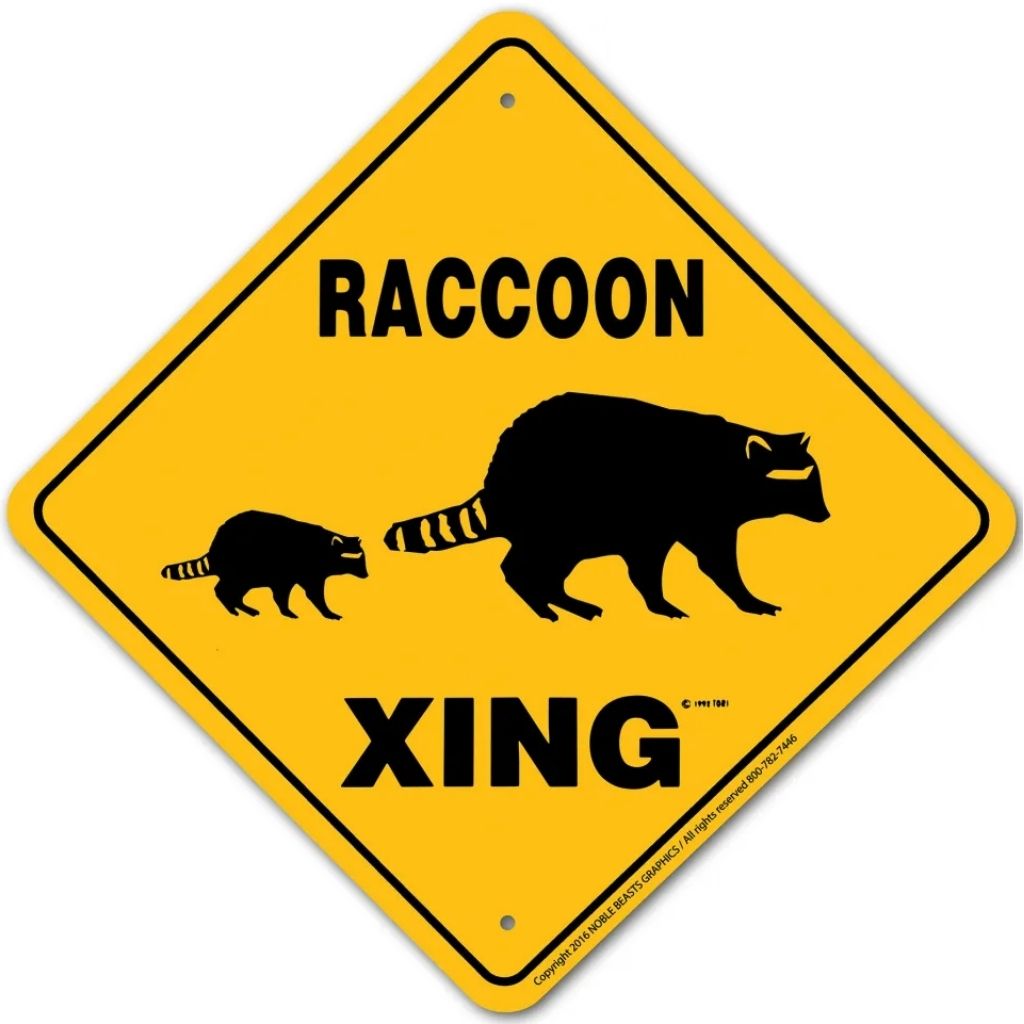 Sign X-ing Raccoon