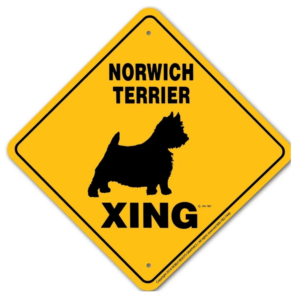 Sign X-ing Norwich Terrier