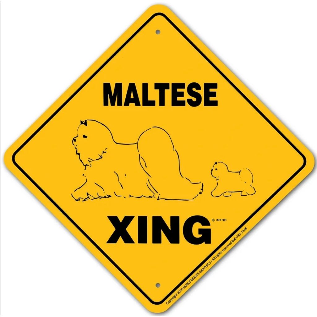 Sign X-ing Maltese