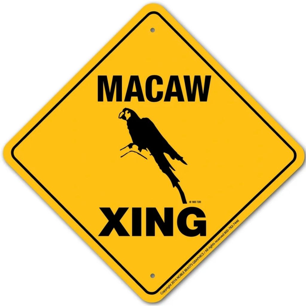 Sign X-ing Macaw