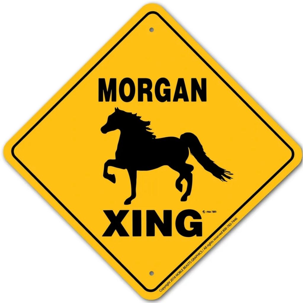 Horse Morgan X-ing Sign